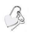 Metal Heart Lock with Printable Insert