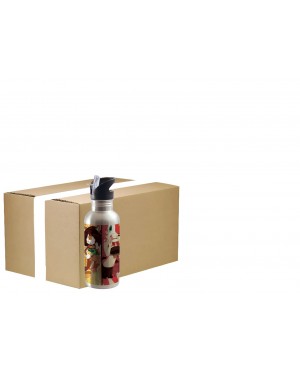FULL CARTON - 60 x Water Bottles - Integrated Straw - 600ml - Silver