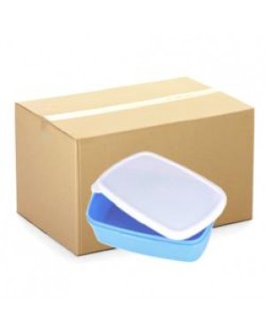 Lunchbox - CARTON (48 pcs) - Plastic - Small - Blue